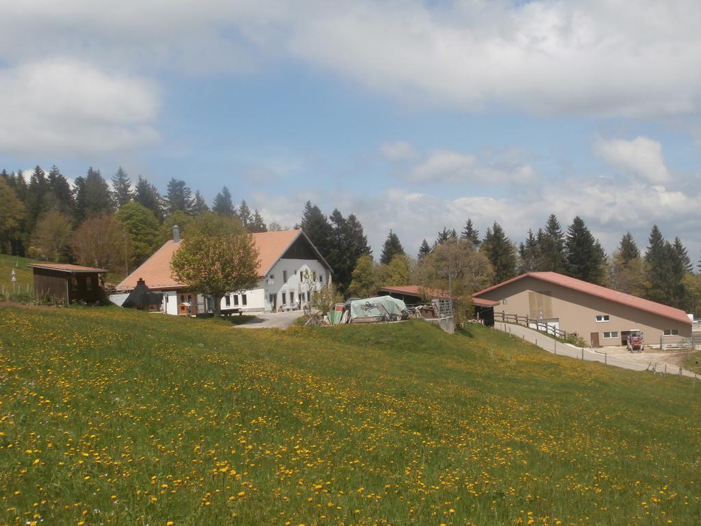 B&B La Ferme De Pouillerel La Chaux De Fonds Εξωτερικό φωτογραφία